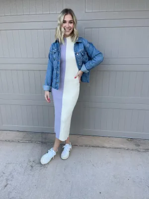 Andrea Two Tone Knit Dress