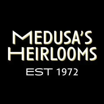 Medusa's Heirlooms Star Crystal Headband
